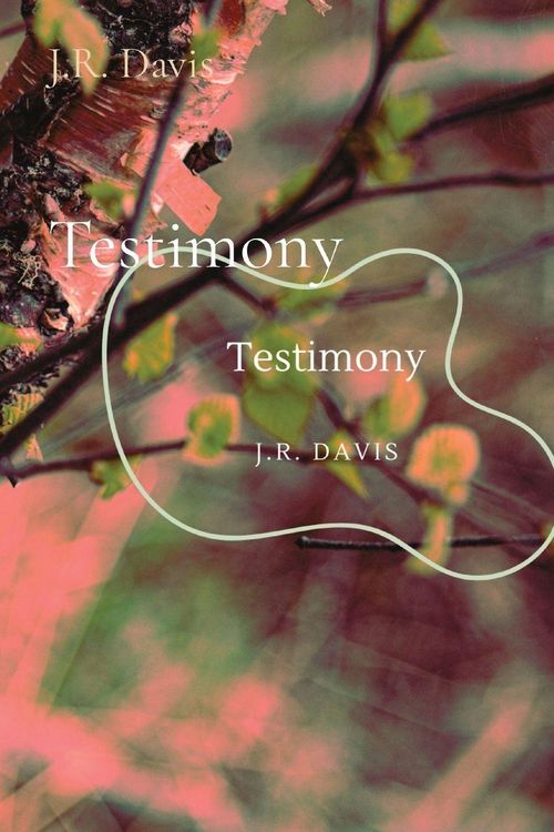 Produktbild: Testimony