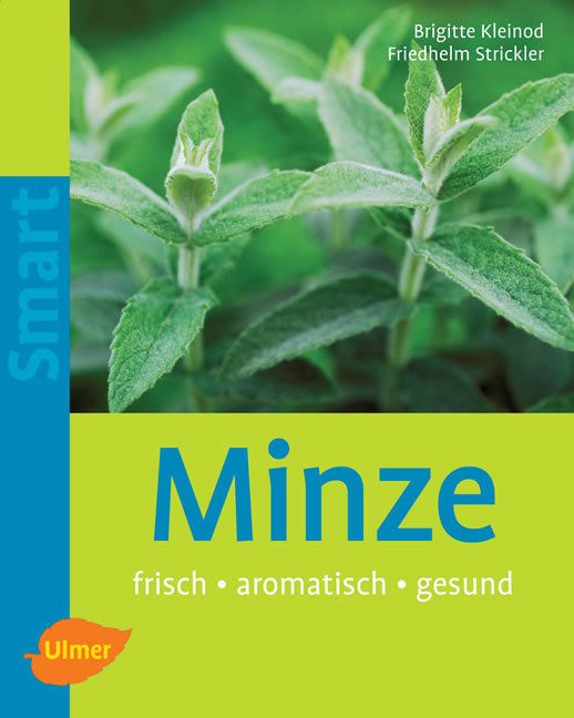 Produktbild: Minze
