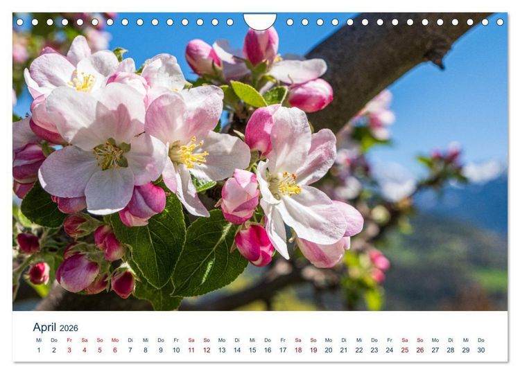 Produktbild: Die Dolomiten - Wanderung durch den Naturpark Schlern-Rosengarten (Wandkalender 2026 DIN A4 quer), CALVENDO Monatskalender