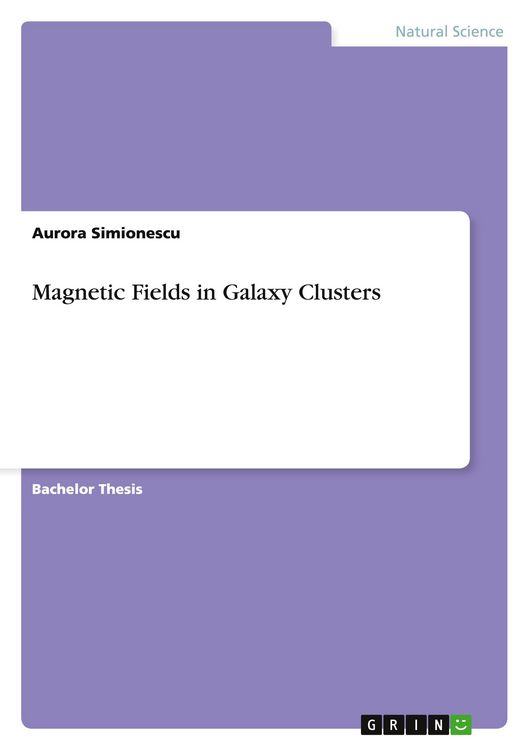 Produktbild: Magnetic Fields in Galaxy Clusters