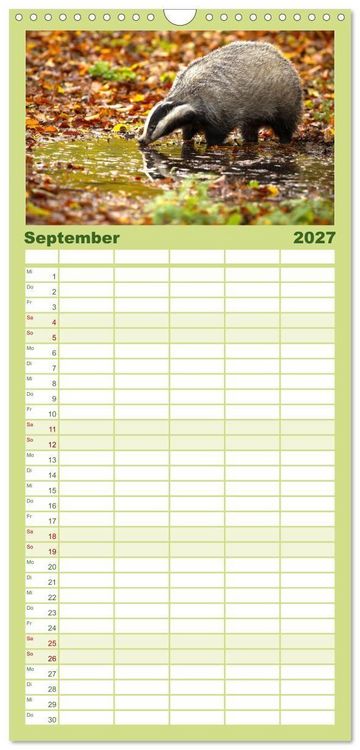 Produktbild: Familienplaner 2027 - Die Tiere des Waldes mit 5 Spalten (Wandkalender, 21 x 45 cm) CALVENDO