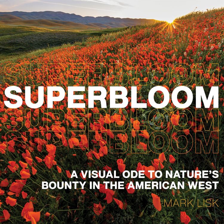 Produktbild: Superbloom