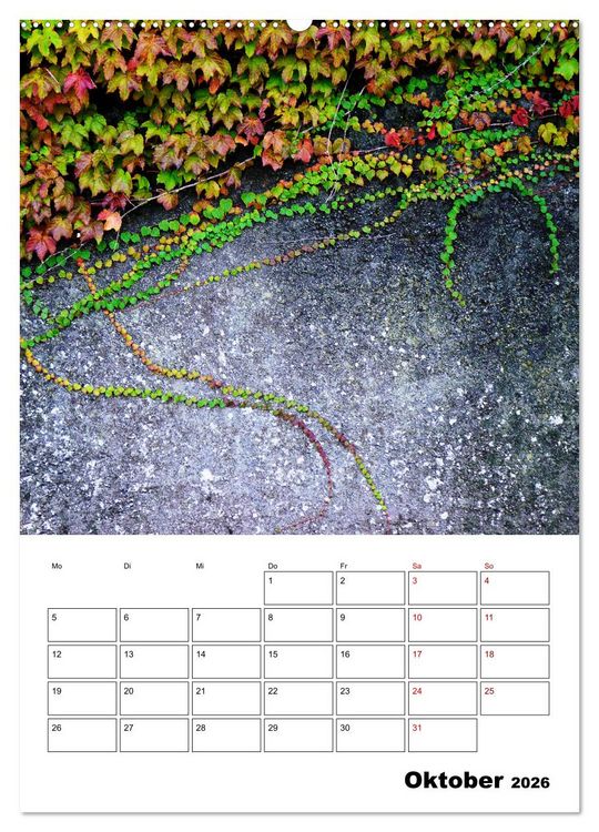 Produktbild: Mauerbl&uuml;mchen - Poesie im Allt&auml;glichen als Monatsplaner (Wandkalender 2026 DIN A2 hoch), CALVENDO Monatskalender