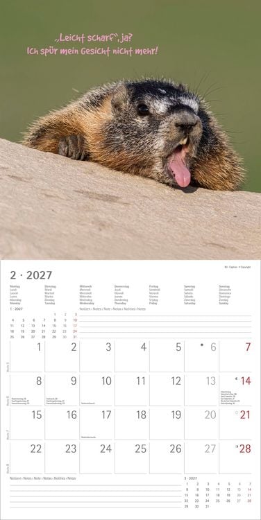 Produktbild: Funny Animals 2027