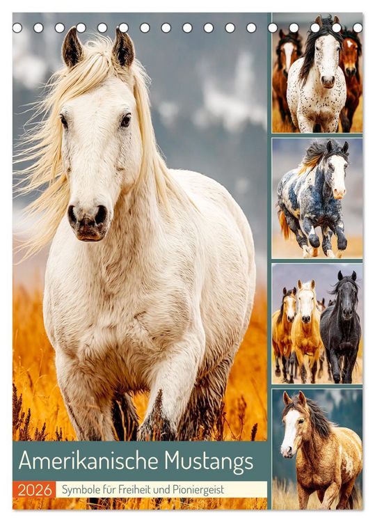 Produktbild: Amerikanische Mustangs. Symbole f&uuml;r Freiheit und Pioniergeis (Tischkalender 2026 DIN A5 hoch), CALVENDO Monatskalender
