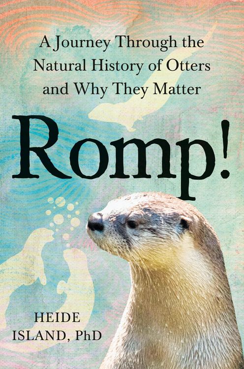 Produktbild: Romp!