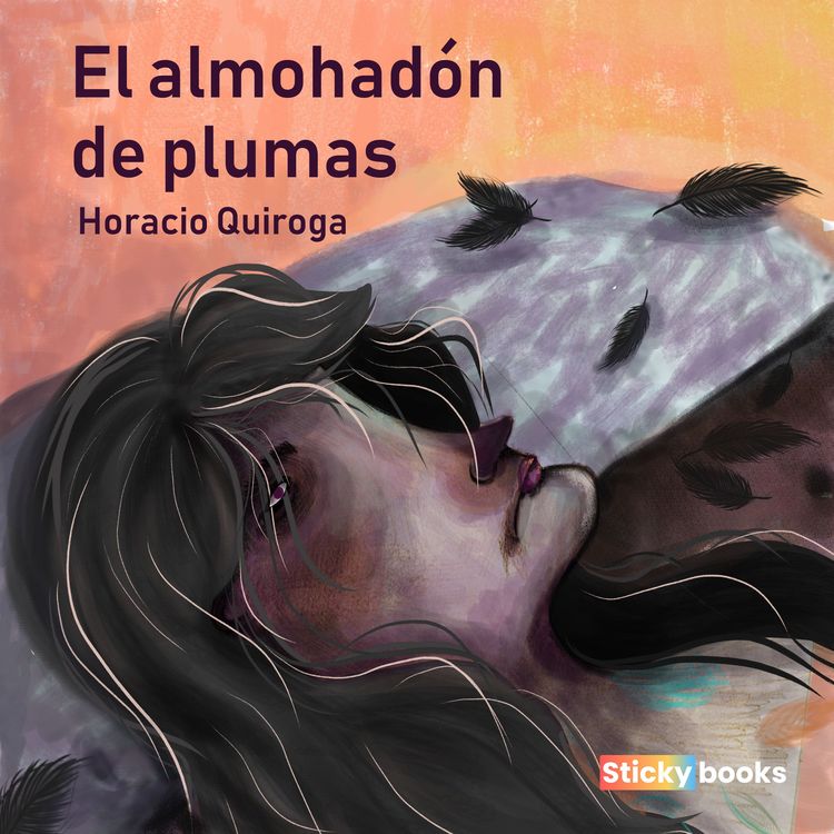 Produktbild: El almohad&oacute;n de plumas