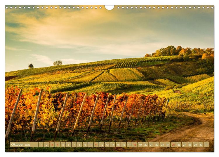 Produktbild: Kultur im Rheingau (Wandkalender 2026 DIN A3 quer), CALVENDO Monatskalender