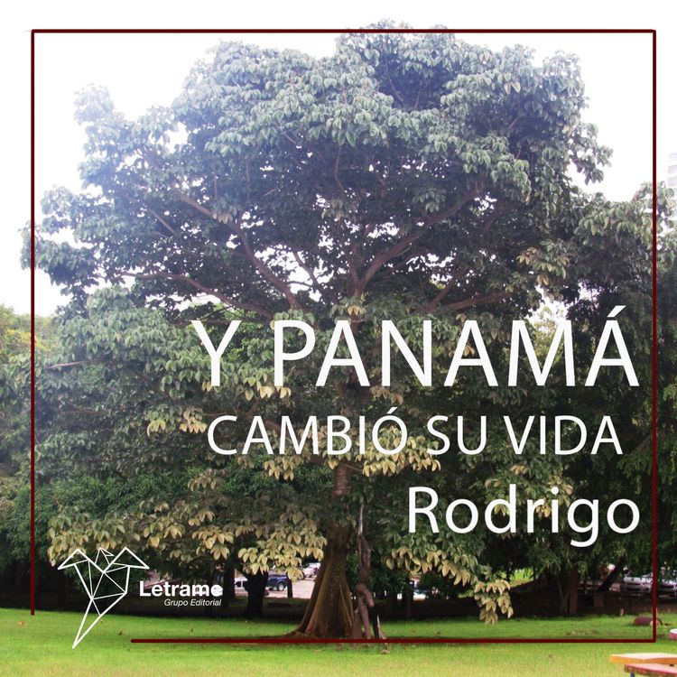 Produktbild: Y Panam&aacute; cambi&oacute; su vida