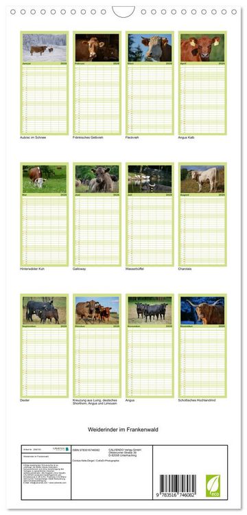 Produktbild: Familienplaner 2026 - Weiderinder im Frankenwald mit 5 Spalten (Wandkalender, 21 x 45 cm) CALVENDO