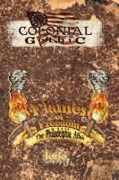 Produktbild: Flames of Freedom: The Philadelphia Affair