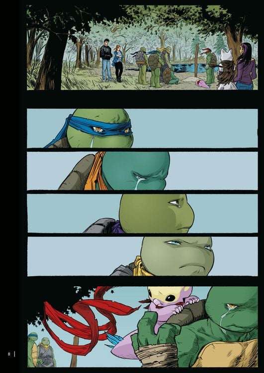 Produktbild: Teenage Mutant Ninja Turtles Splitter Collection 14