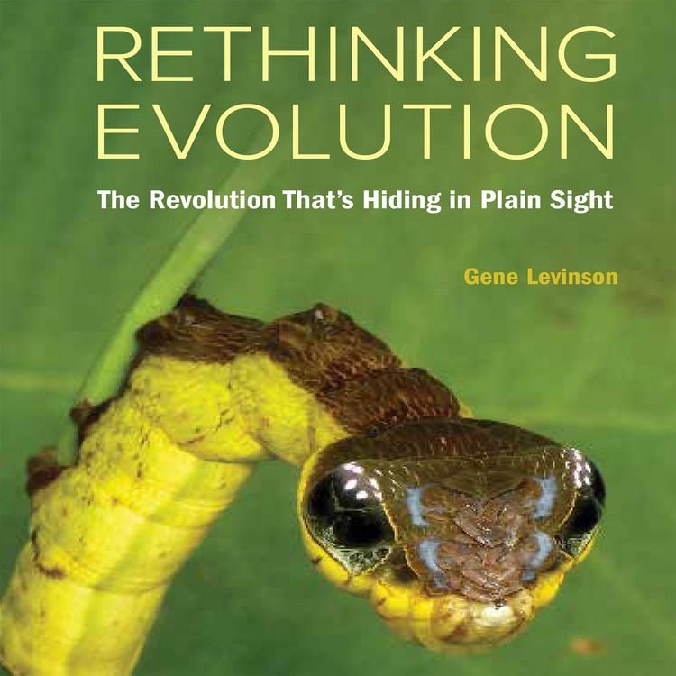 Produktbild: Rethinking Evolution