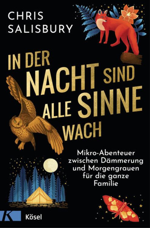 Produktbild: In der Nacht sind alle Sinne wach