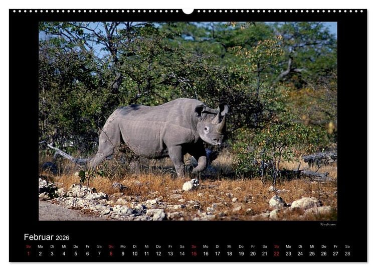 Produktbild: Wildtiere im Etosha Nationalpark (Wandkalender 2026 DIN A2 quer), CALVENDO Monatskalender