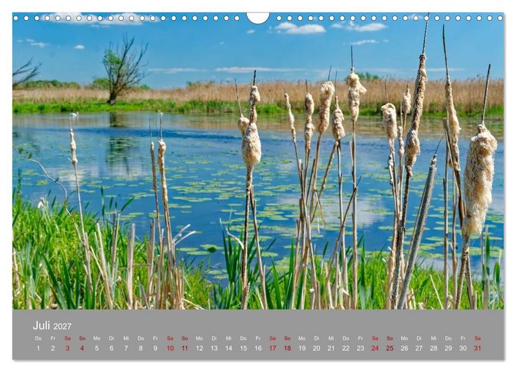 Produktbild: Nationalpark Unteres Odertal (Wandkalender 2027 DIN A3 quer), CALVENDO Monatskalender