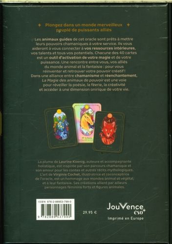 Produktbild: La magie des animaux de pouvoir : 40 cartes et un livret