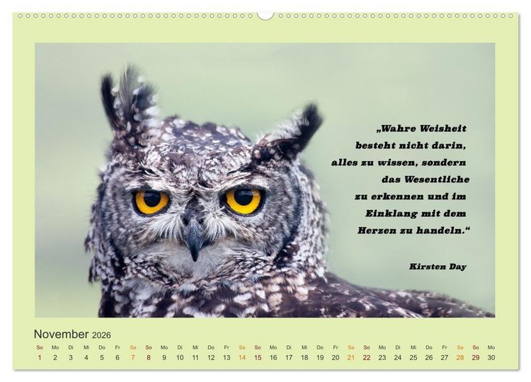 Produktbild: Co-Kreation, Gemeinsam Wunder erschaffen (hochwertiger Premium Wandkalender 2026 DIN A2 quer), Kunstdruck in Hochglanz
