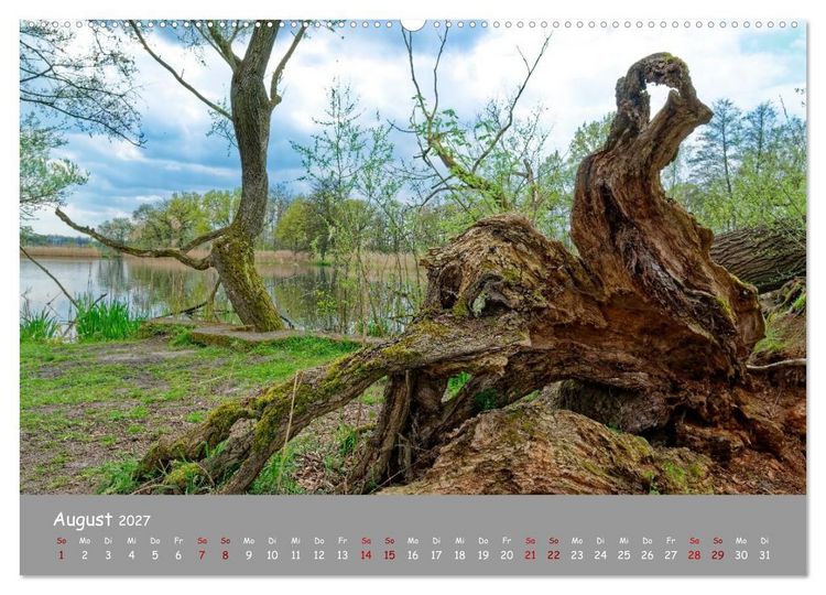 Produktbild: Biosph&auml;renreservat Schorfhede-Chorin (Wandkalender 2027 DIN A2 quer), CALVENDO Monatskalender