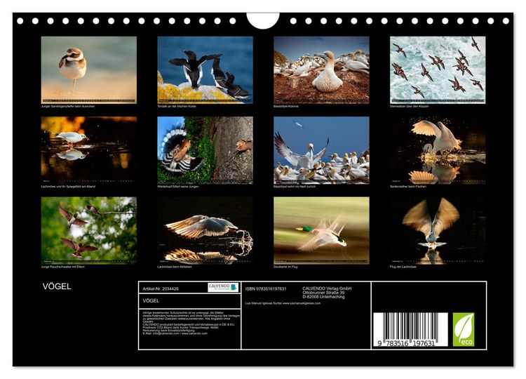 Produktbild: V&Ouml;GEL (Wandkalender 2026 DIN A4 quer), CALVENDO Monatskalender