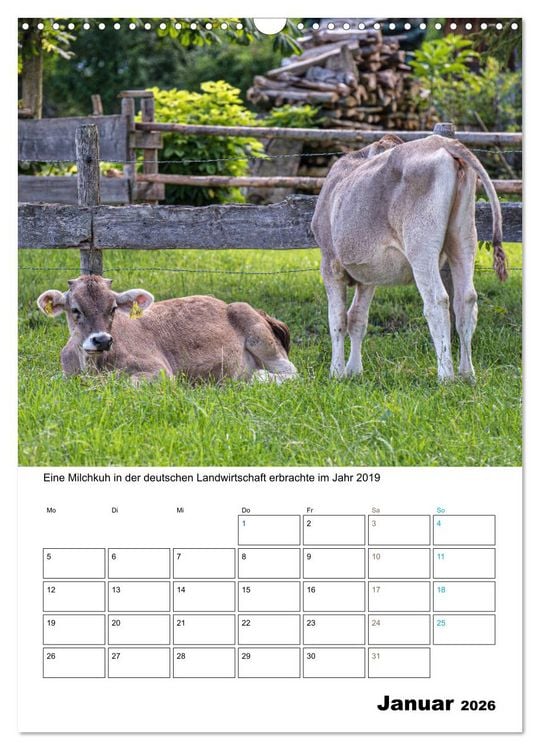 Produktbild: Liebenswerte Landtiere (Wandkalender 2026 DIN A3 hoch), CALVENDO Monatskalender