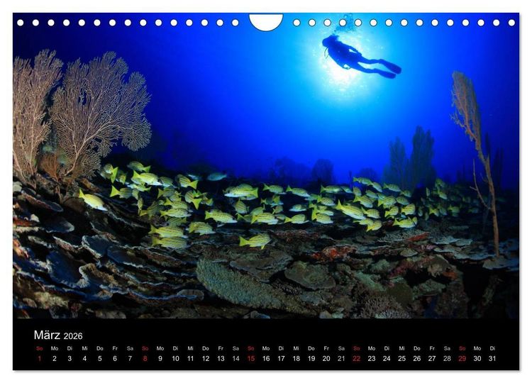 Produktbild: Magische Unterwasserwelten (Wandkalender 2026 DIN A4 quer), CALVENDO Monatskalender