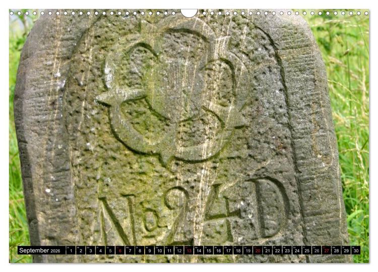 Produktbild: Lippische Rosen (Wandkalender 2026 DIN A3 quer), CALVENDO Monatskalender