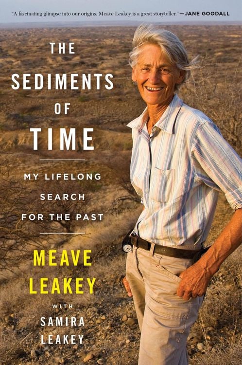 Produktbild: The Sediments of Time