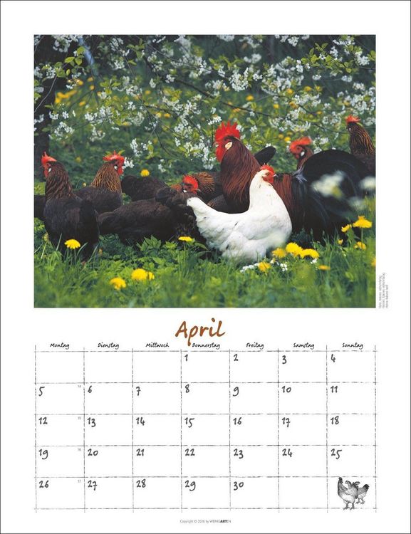 Produktbild: Der H&uuml;hnerkalender 2027