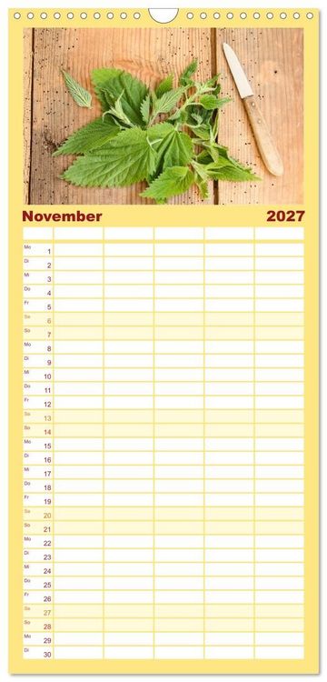Produktbild: Familienplaner 2027 - K&ouml;stliche Brennnessel mit 5 Spalten (Wandkalender, 21 x 45 cm) CALVENDO
