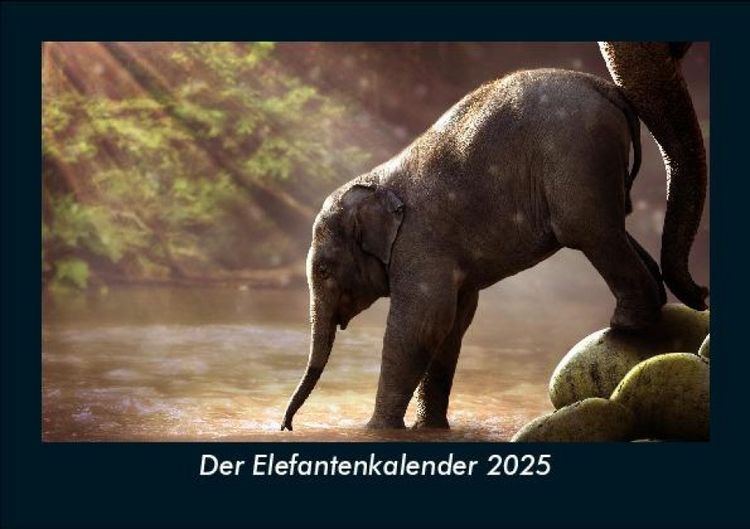 Produktbild: Der Elefantenkalender 2025 Fotokalender DIN A5