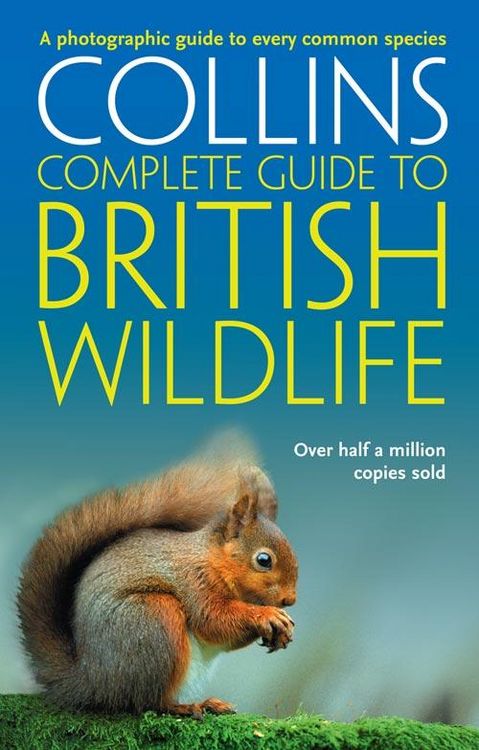 Produktbild: British Wildlife