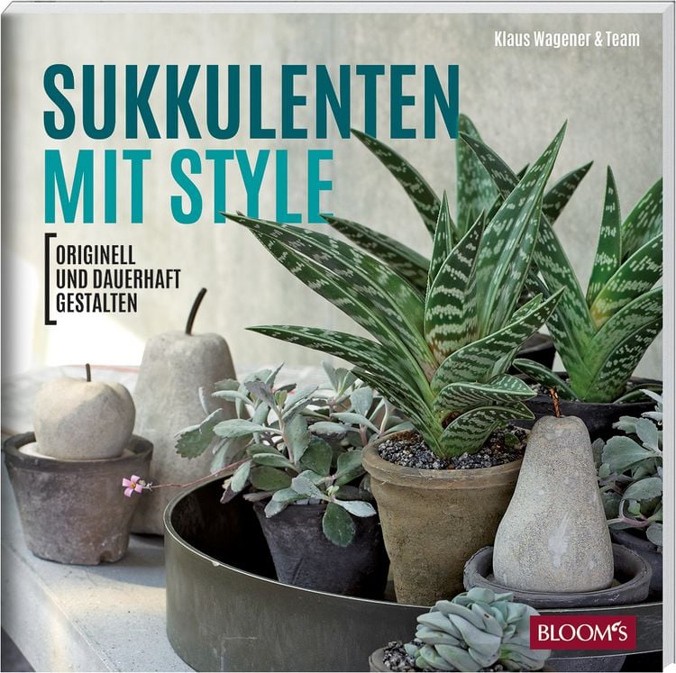 Produktbild: Sukkulenten mit Style
