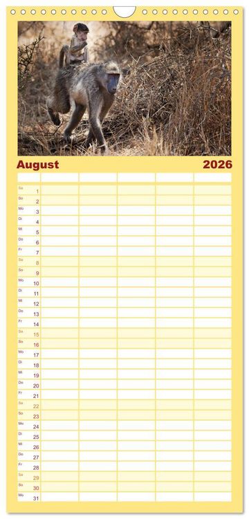 Produktbild: Familienplaner 2026 - Tierbabys 2026 mit 5 Spalten (Wandkalender, 21 x 45 cm) CALVENDO