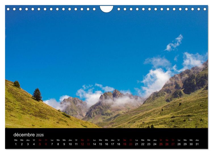 Produktbild: Nature sud de la France (Calendrier mural 2026 DIN A4 vertical), CALVENDO calendrier mensuel