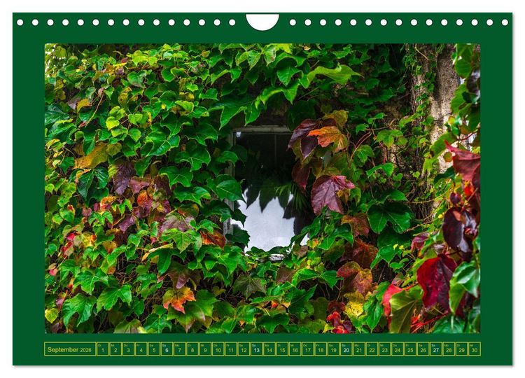 Produktbild: Rundreise: Dorset in sieben Tagen (Wandkalender 2026 DIN A4 quer), CALVENDO Monatskalender