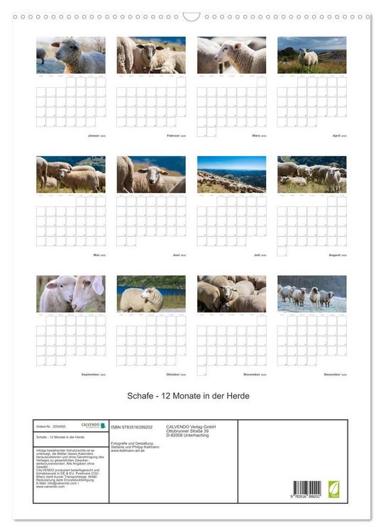 Produktbild: Schafe - 12 Monate in der Herde (Wandkalender 2026 DIN A2 hoch), CALVENDO Monatskalender