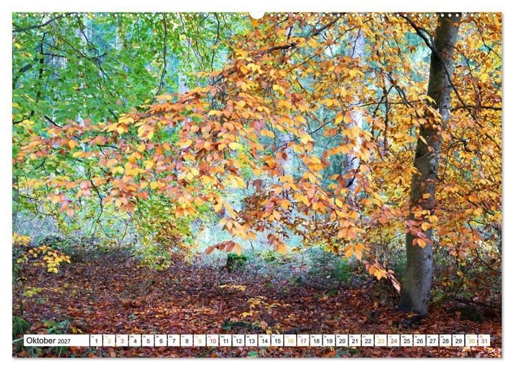 Produktbild: 12 Monate Natur (hochwertiger Premium Wandkalender 2027 DIN A2 quer), Kunstdruck in Hochglanz