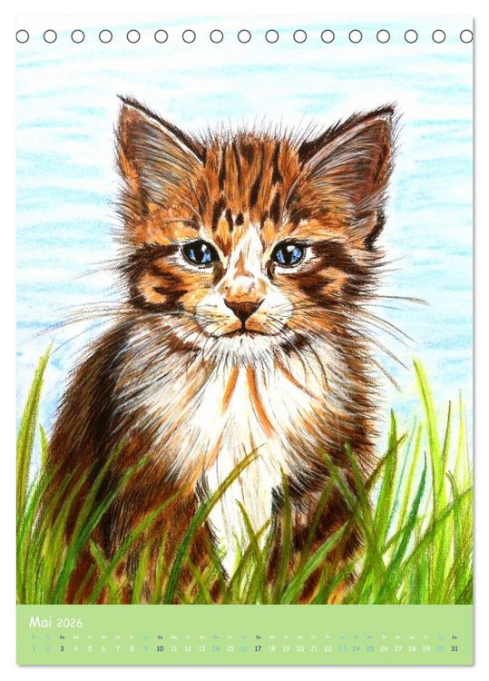 Produktbild: PortraiTierART Zauberhafte Tierzeichnungen (Tischkalender 2026 DIN A5 hoch), CALVENDO Monatskalender