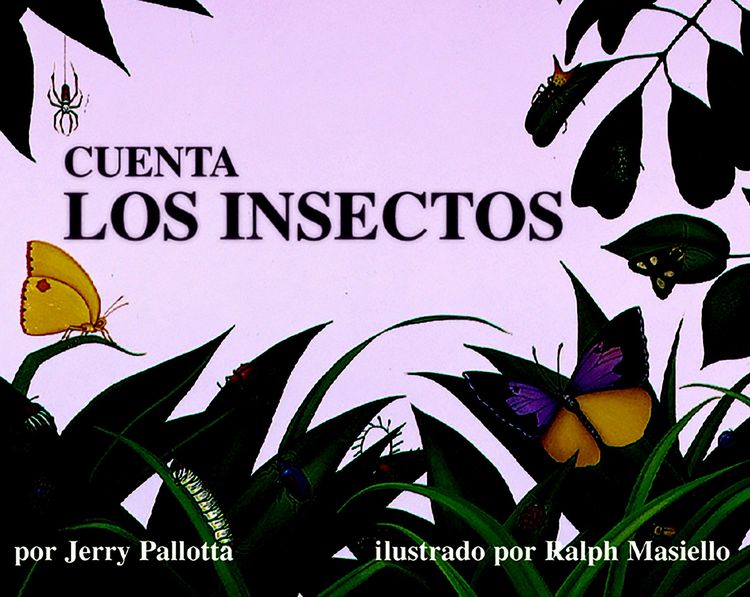 Produktbild: Cuenta Los Insectos (Spanish Edition)