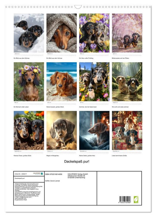 Produktbild: Dackelspa&szlig; pur! (Wandkalender 2027 DIN A2 hoch), CALVENDO Monatskalender