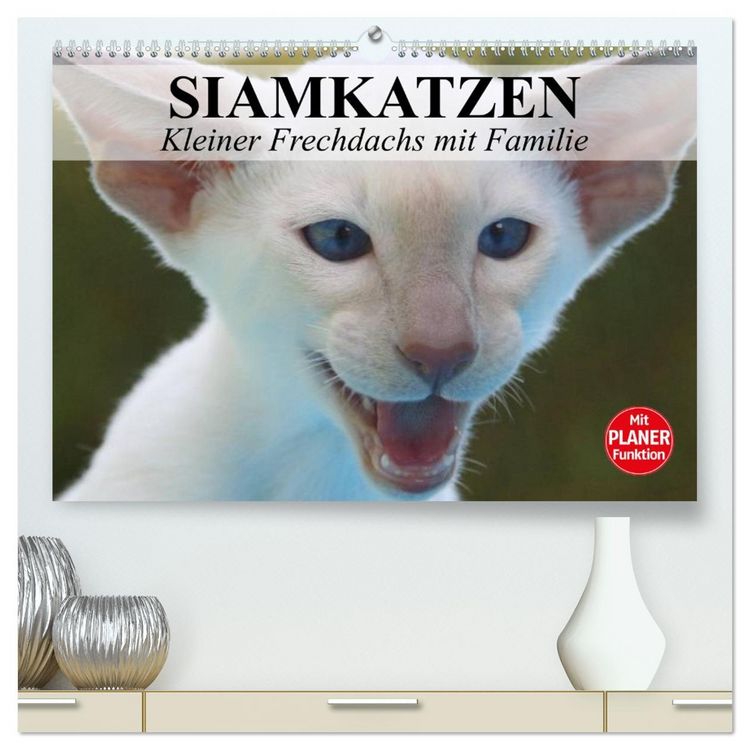 Produktbild: Siamkatzen - Kleiner Frechdachs mit Familie (hochwertiger Premium Wandkalender 2026 DIN A2 quer), Kunstdruck in Hochglanz