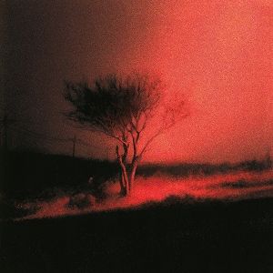 Produktbild: Piss In The Wind