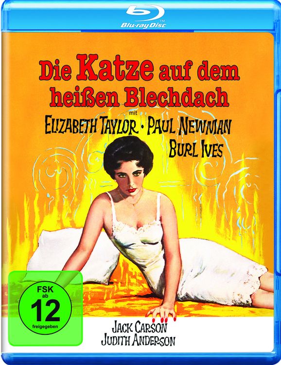 Produktbild: Die Katze auf dem hei&szlig;en Blechdach