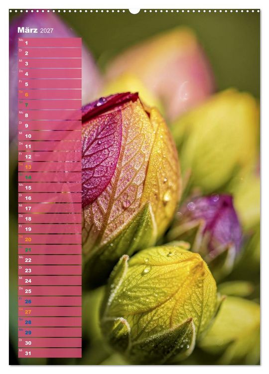 Produktbild: Bunte Farben der Natur (hochwertiger Premium Wandkalender 2027 DIN A2 hoch), Kunstdruck in Hochglanz