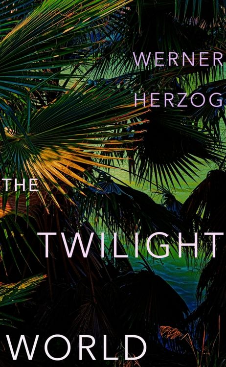 Produktbild: The Twilight World