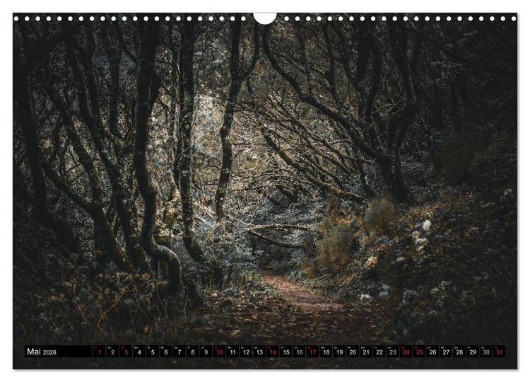 Produktbild: Madeira - Eine Perle des Atlantiks (Wandkalender 2026 DIN A3 quer), CALVENDO Monatskalender