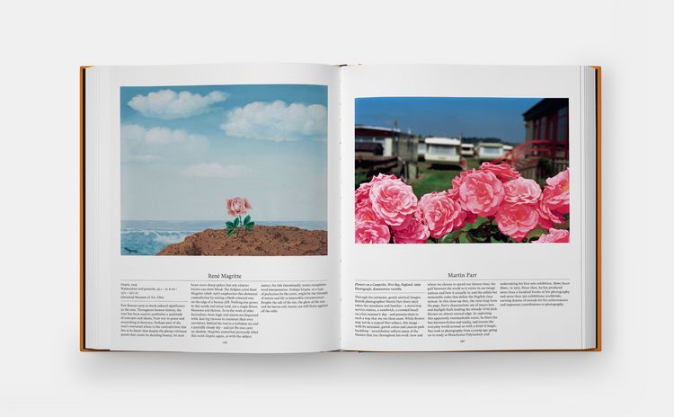Produktbild: Flower: Exploring the World in Bloom