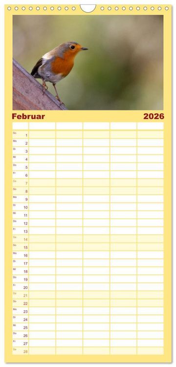 Produktbild: Familienplaner 2026 - Rotkehlchen - Fotografiert von Ostfriesenfotografie mit 5 Spalten (Wandkalender, 21 x 45 cm) CALVENDO