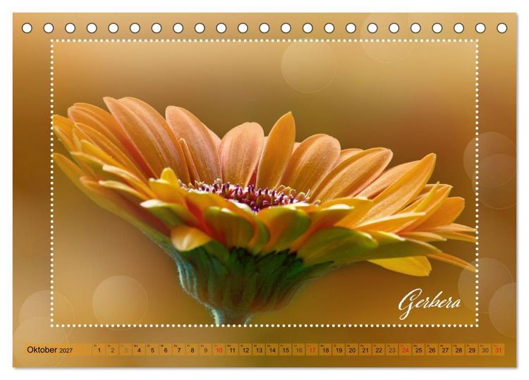 Produktbild: Bl&uuml;tenbouquet (Tischkalender 2027 DIN A5 quer), CALVENDO Monatskalender